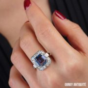 260206_GORKY_inustudio-10square